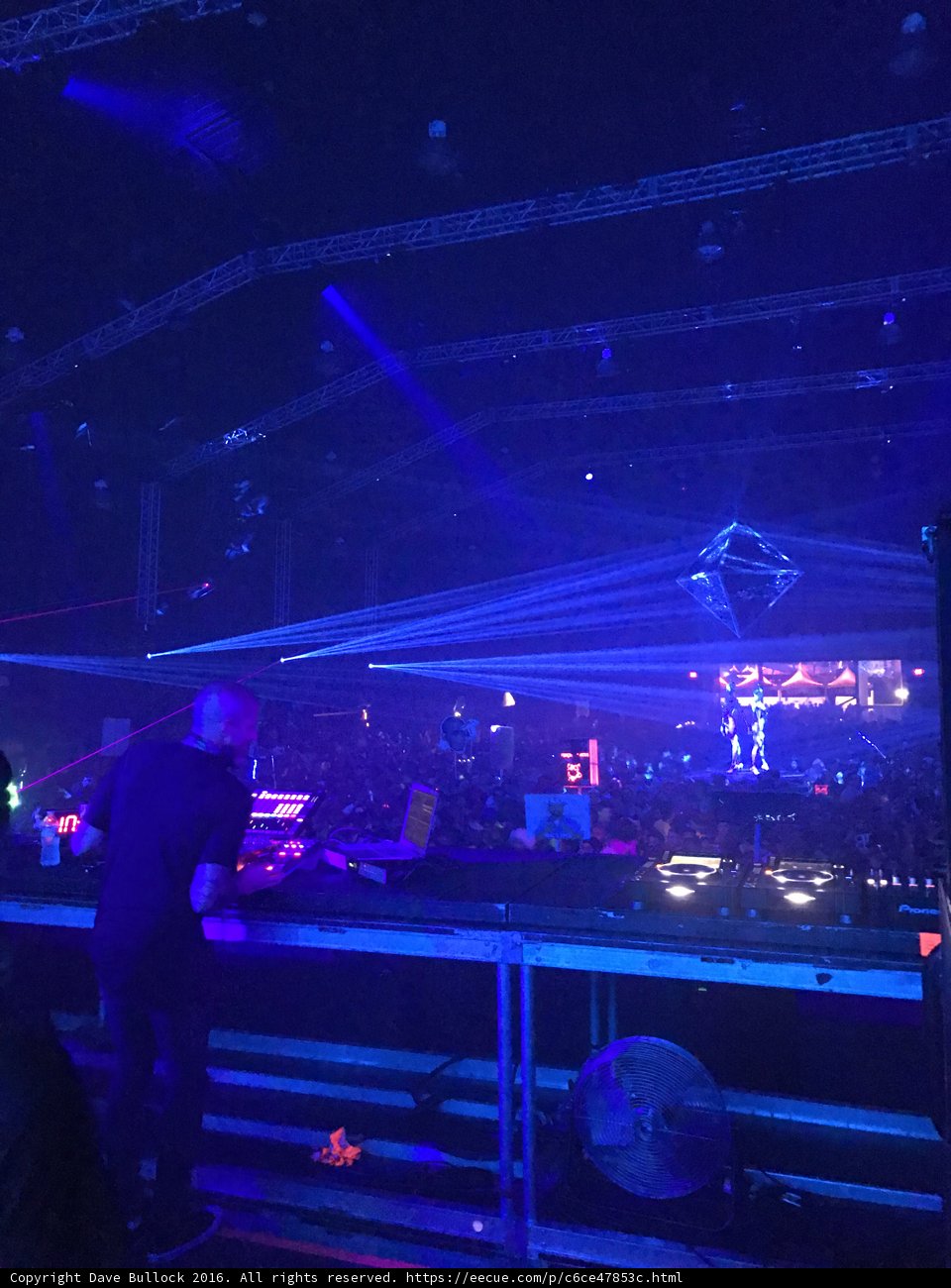Nightlife Spotlight