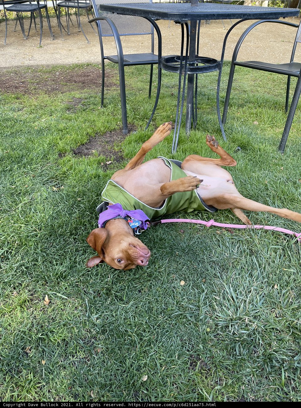 Lazy Days