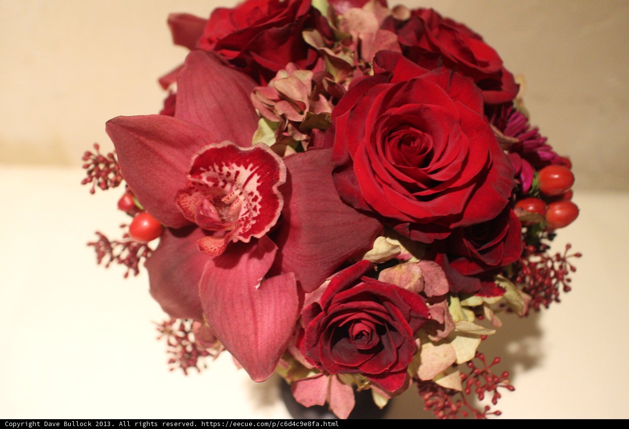 Fiery Bloom