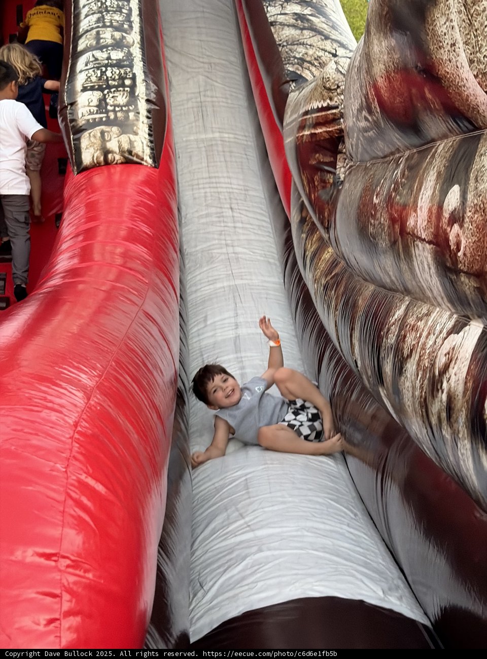 Joyful Slide Adventure
