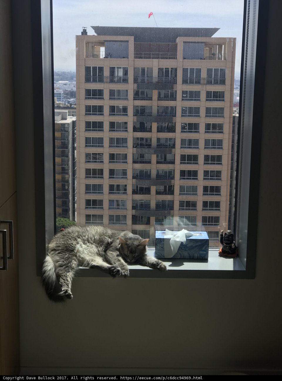 City Life Relaxation