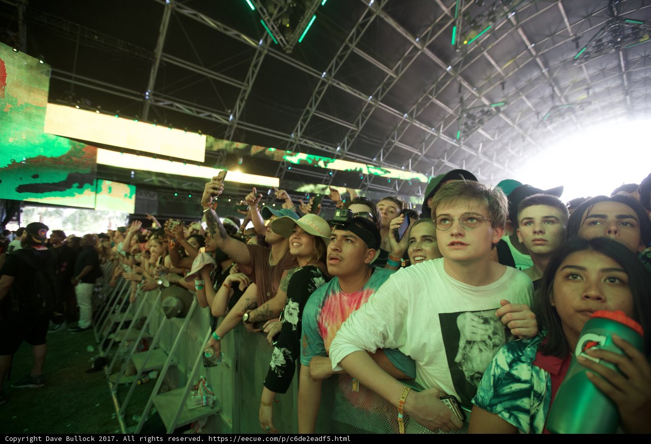 Selfie Time in the Coachella Crowd
