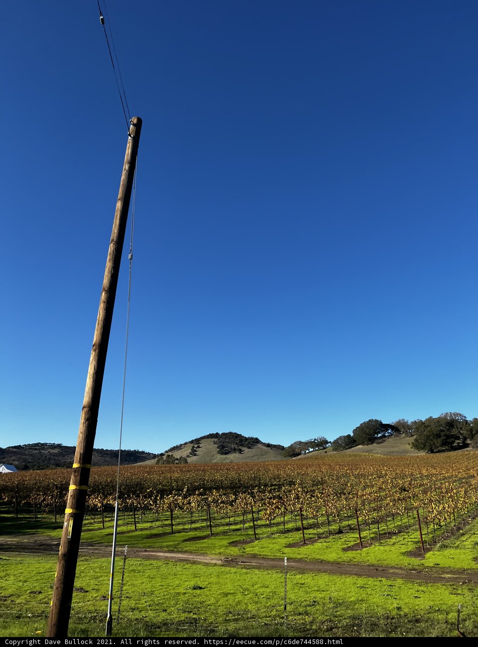 Country Lines