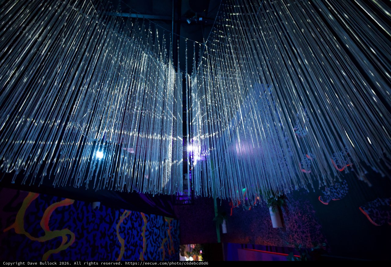 Fiber Optic Light Installation in Immersive Art Space