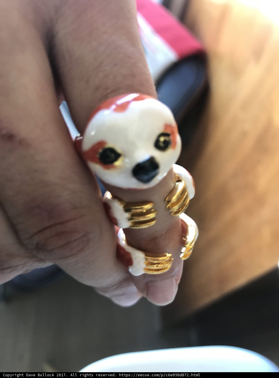 Holding A Cute Animal Ring