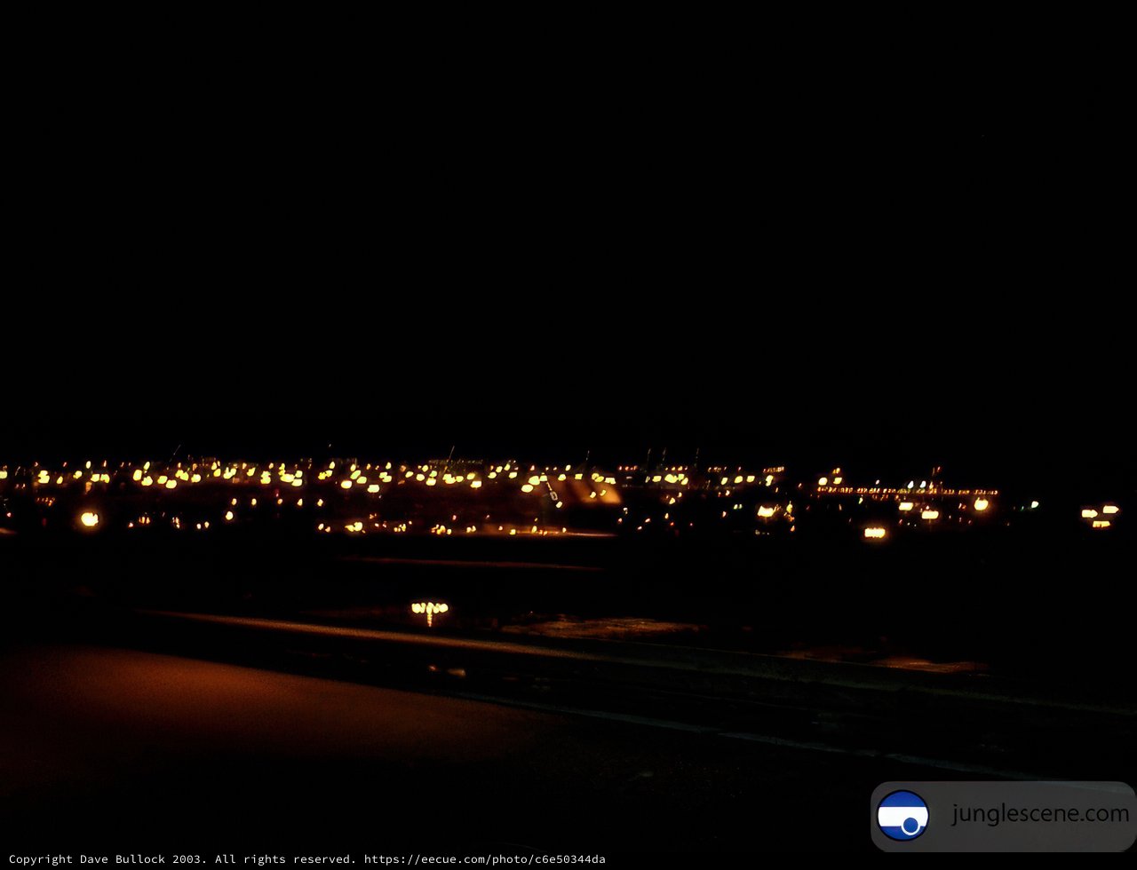 Bright Trails on the Midnight Highway