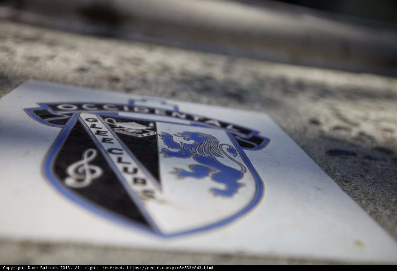 Symbolic Emblem on Sidewalk