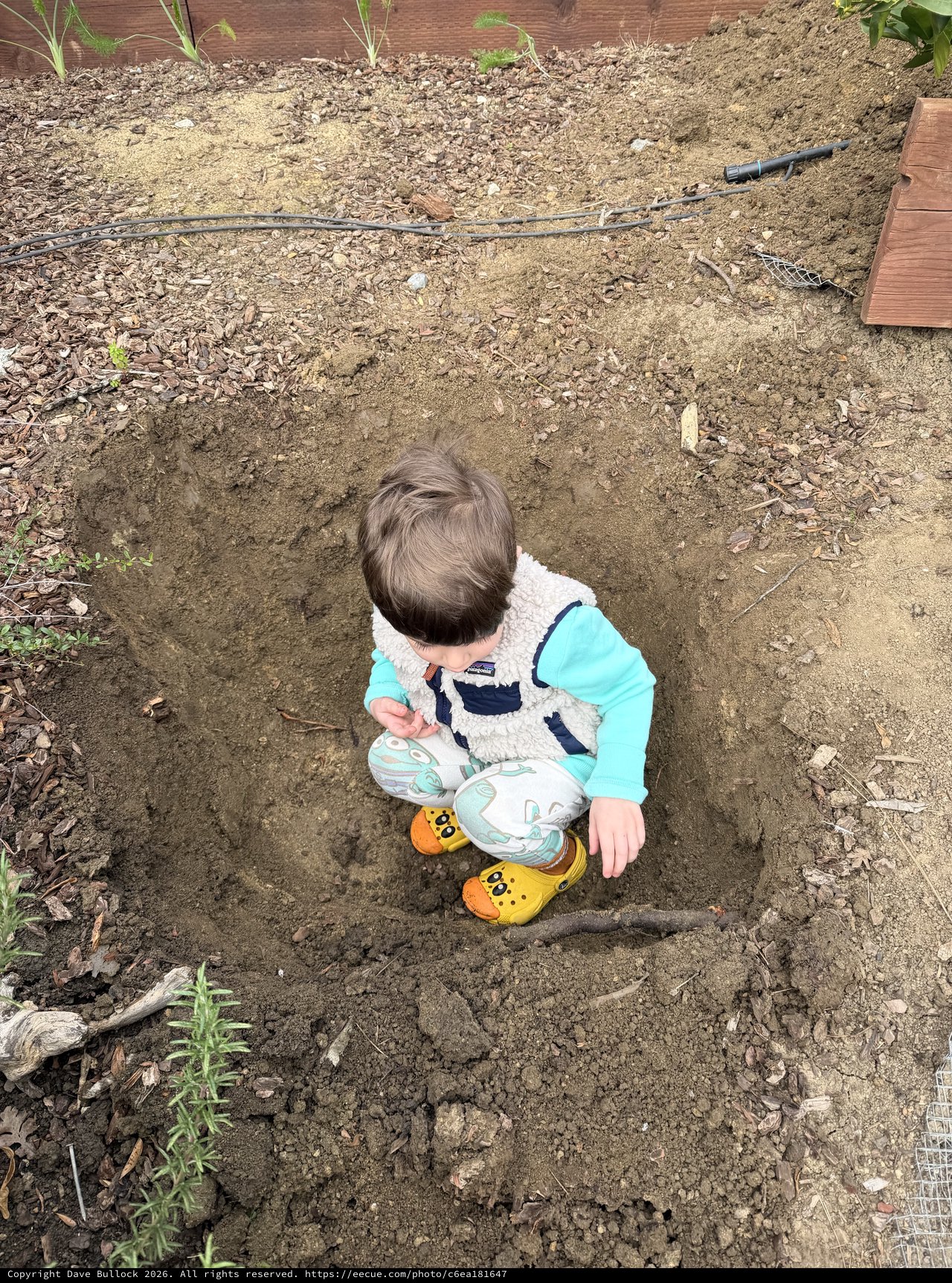 Young Child Playing in Garden Dirt Patch