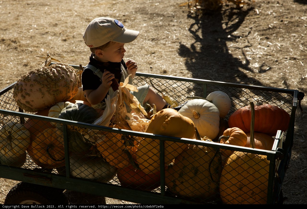 Harvest Adventure in 2023