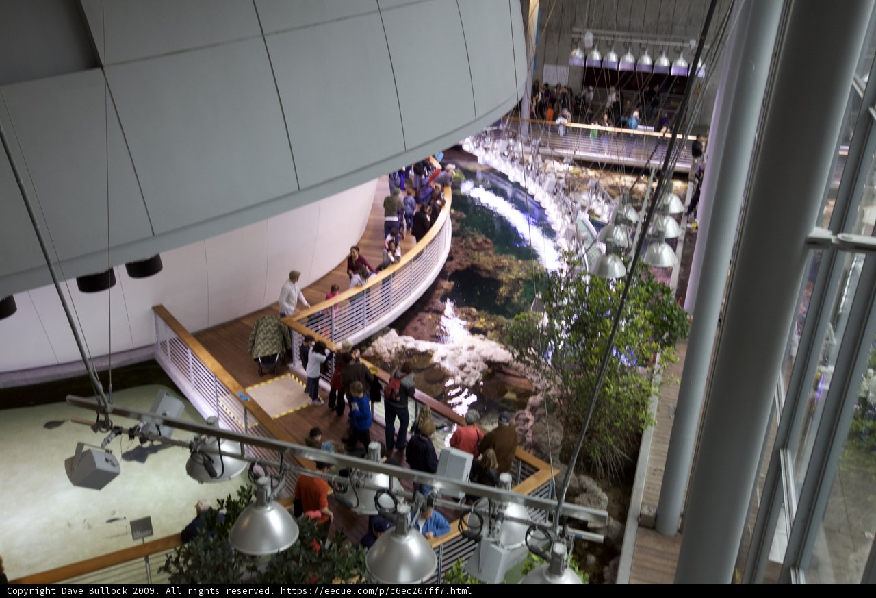Exploring the Ocean's Wonders at the California Science Center