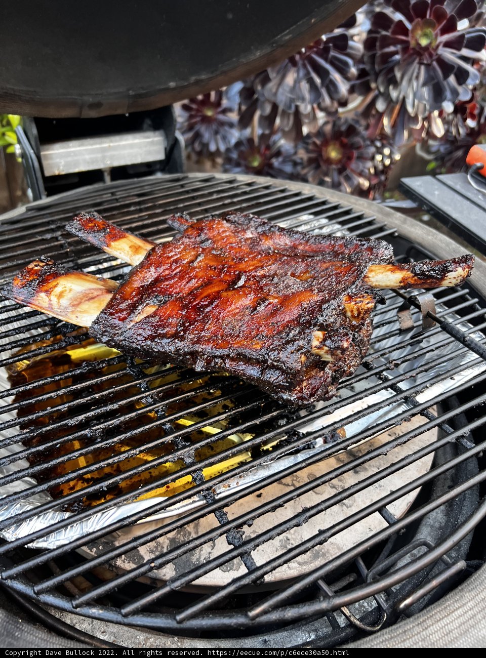 Grilling Masterpiece