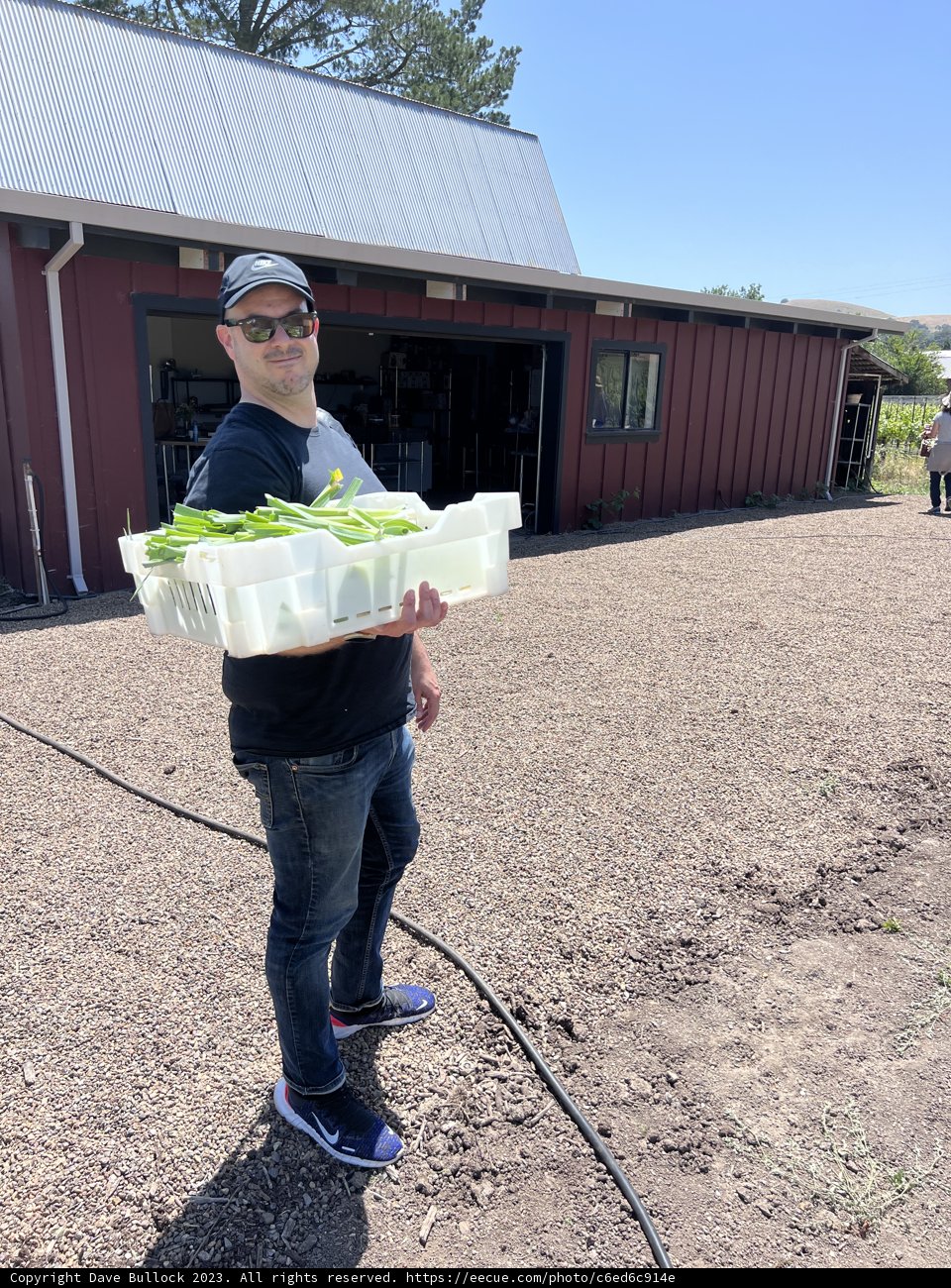 Embracing Regenerative Gardening in Sonoma, 2023