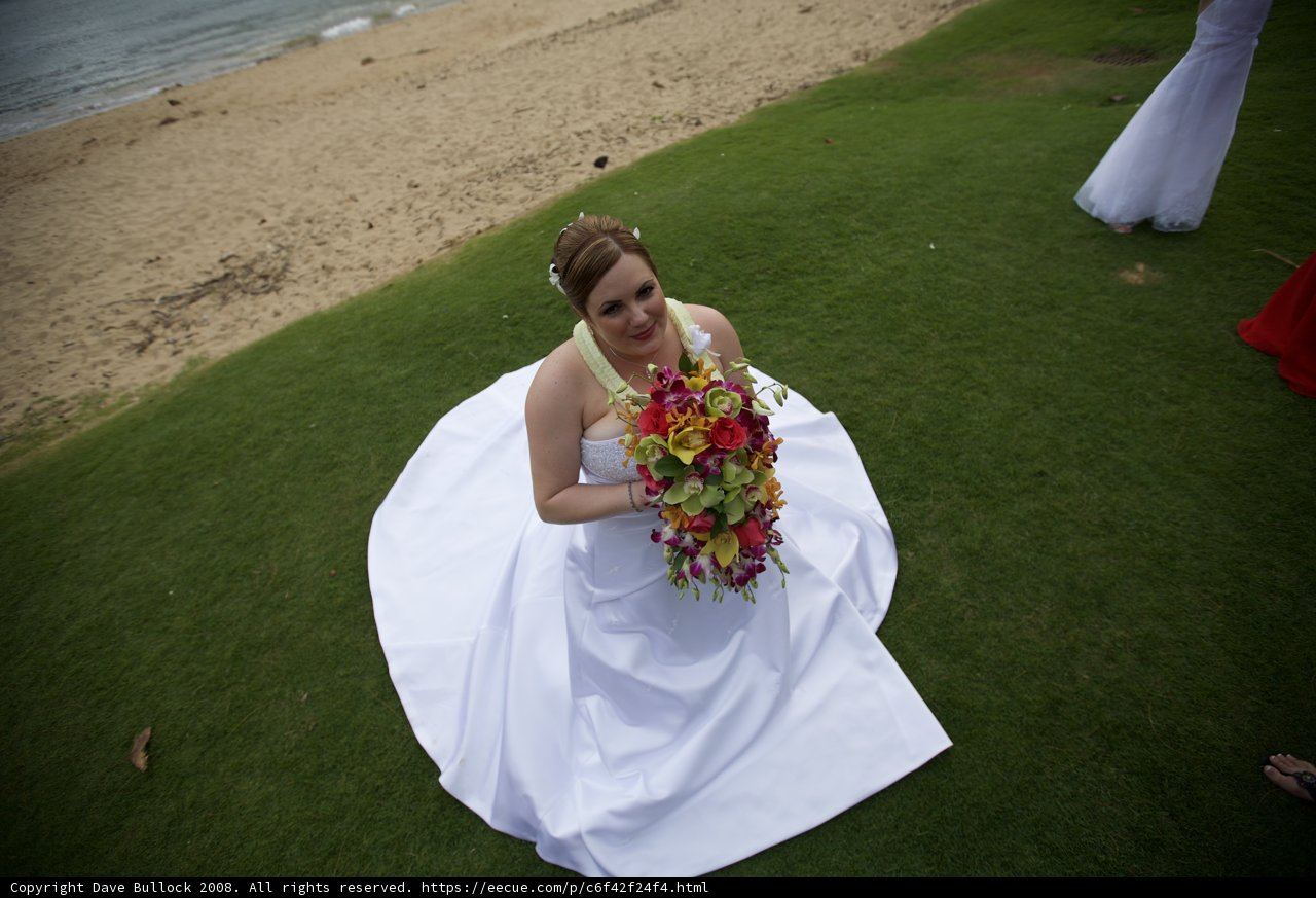 A Bride and Her Blooms