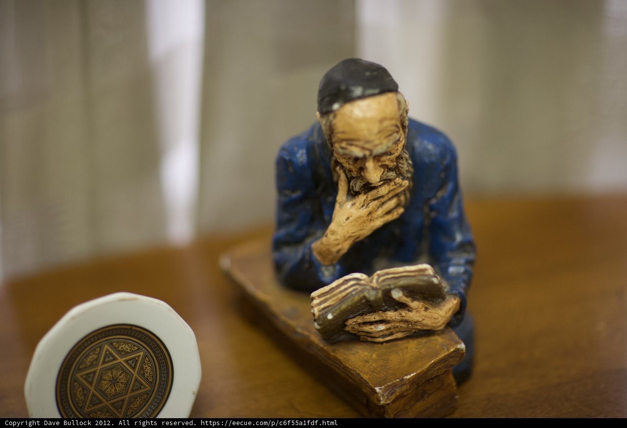The Studious Man