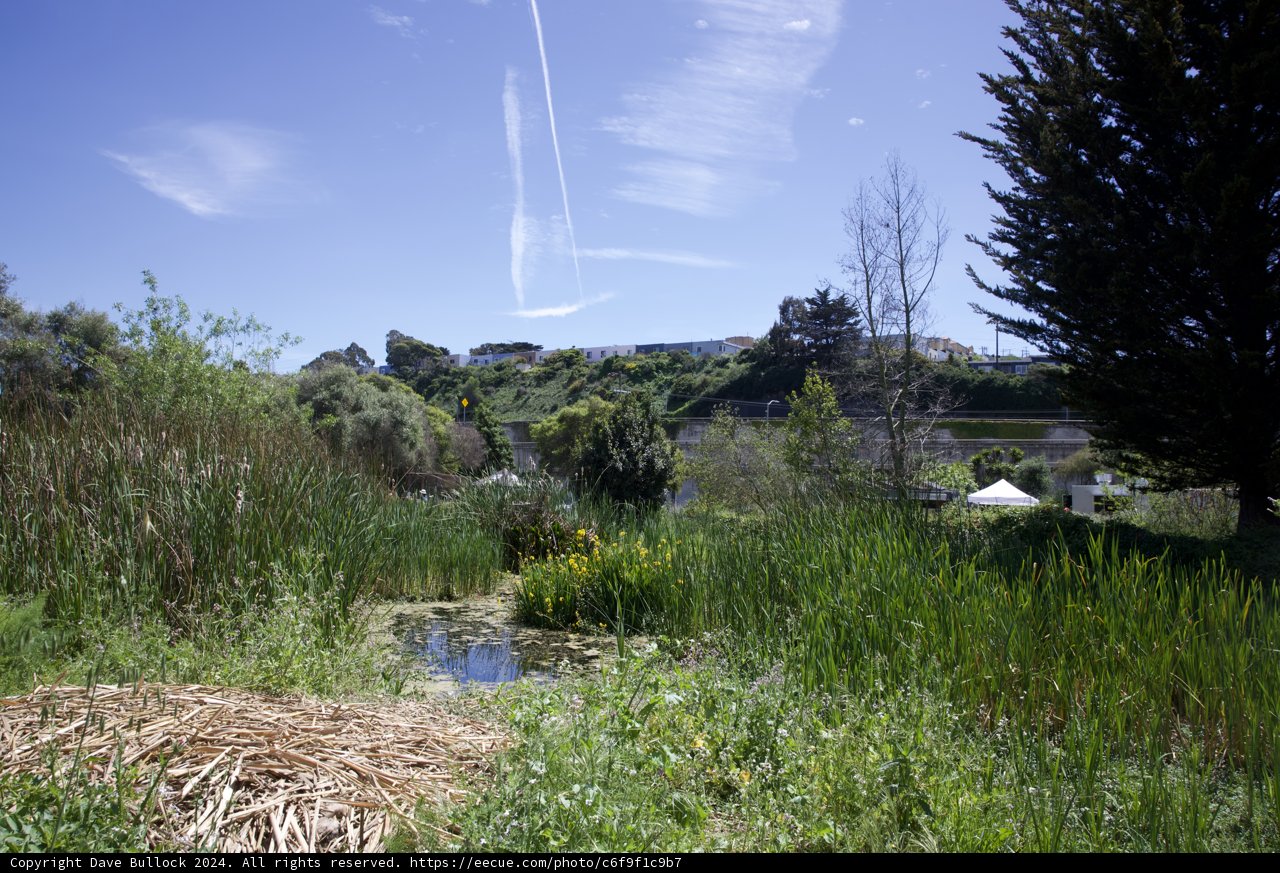 Serene Green: Earth Day at Alemany Farm