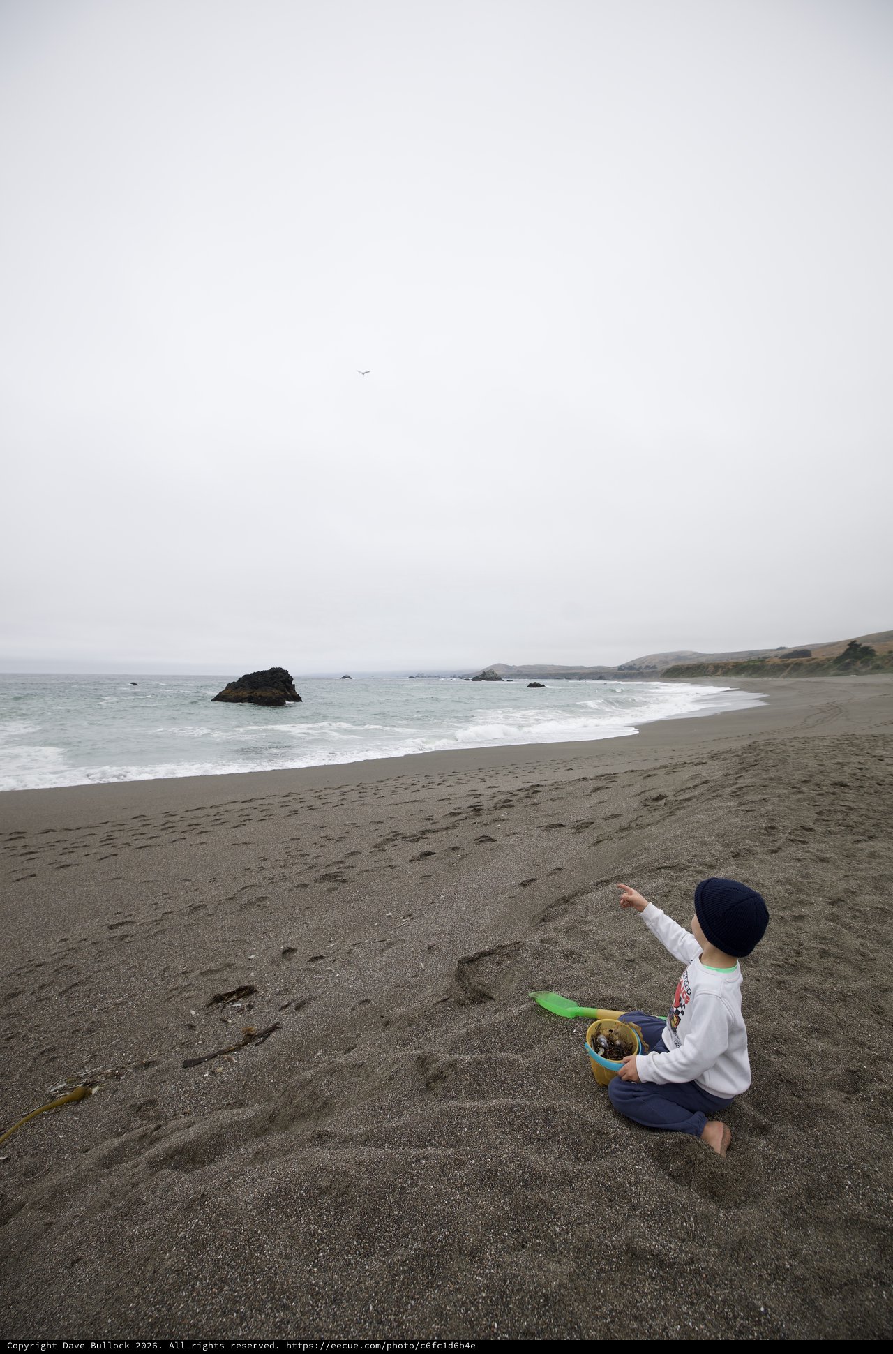 Child Points to the Sky on Misty California Beach