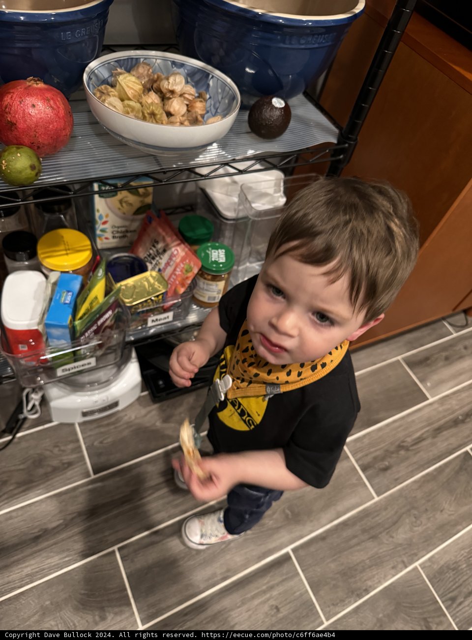 Youngster's Playful Kitchen Adventures