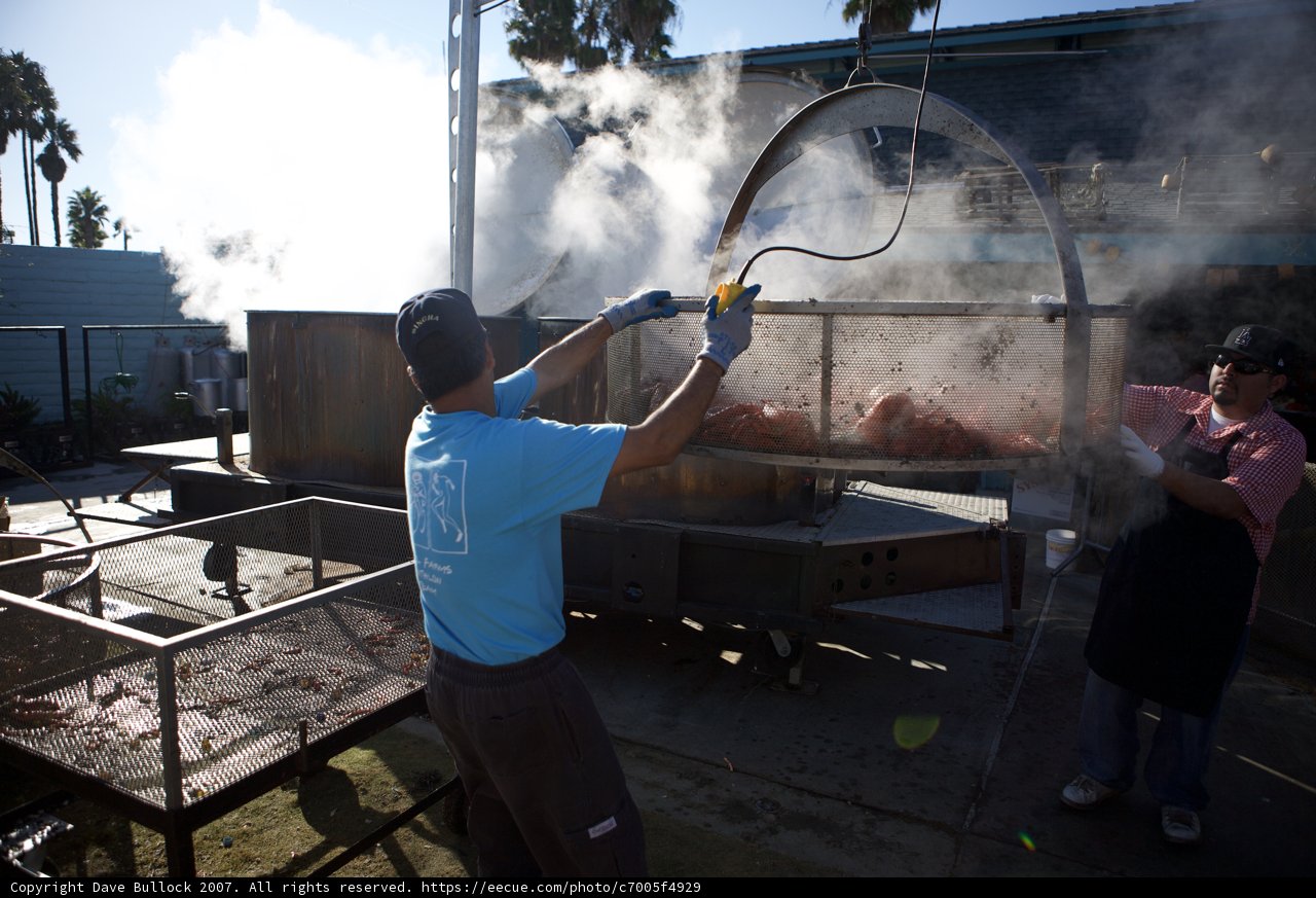 Grilling Master at Lobster Festival