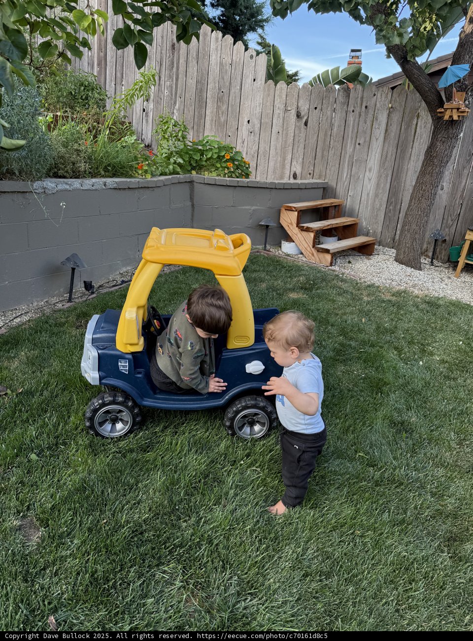 Backyard Adventures
