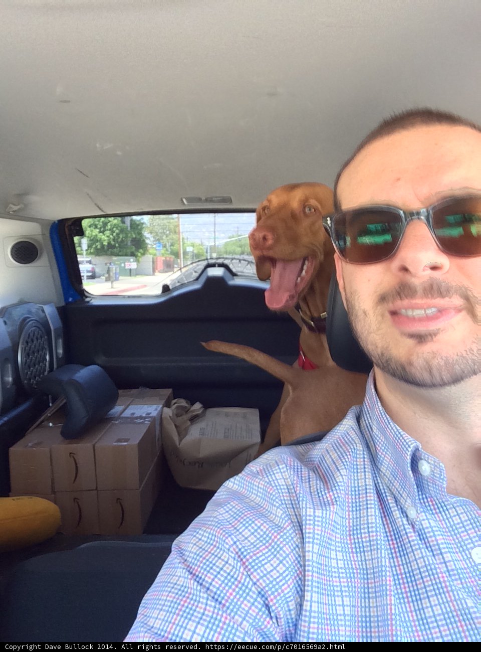 Man and his Best Friend on a Road Trip