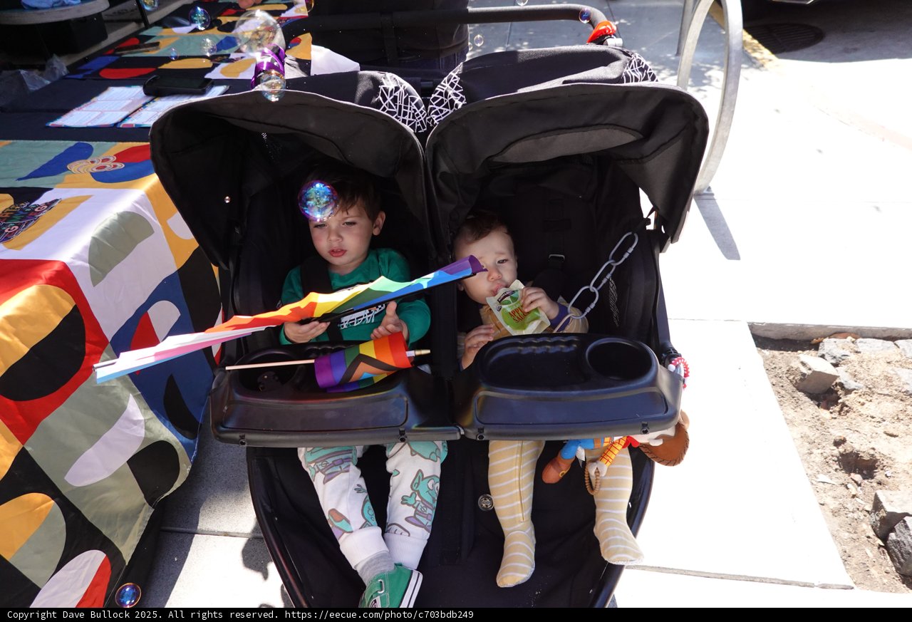 Stroller Adventures in Vibrant Color