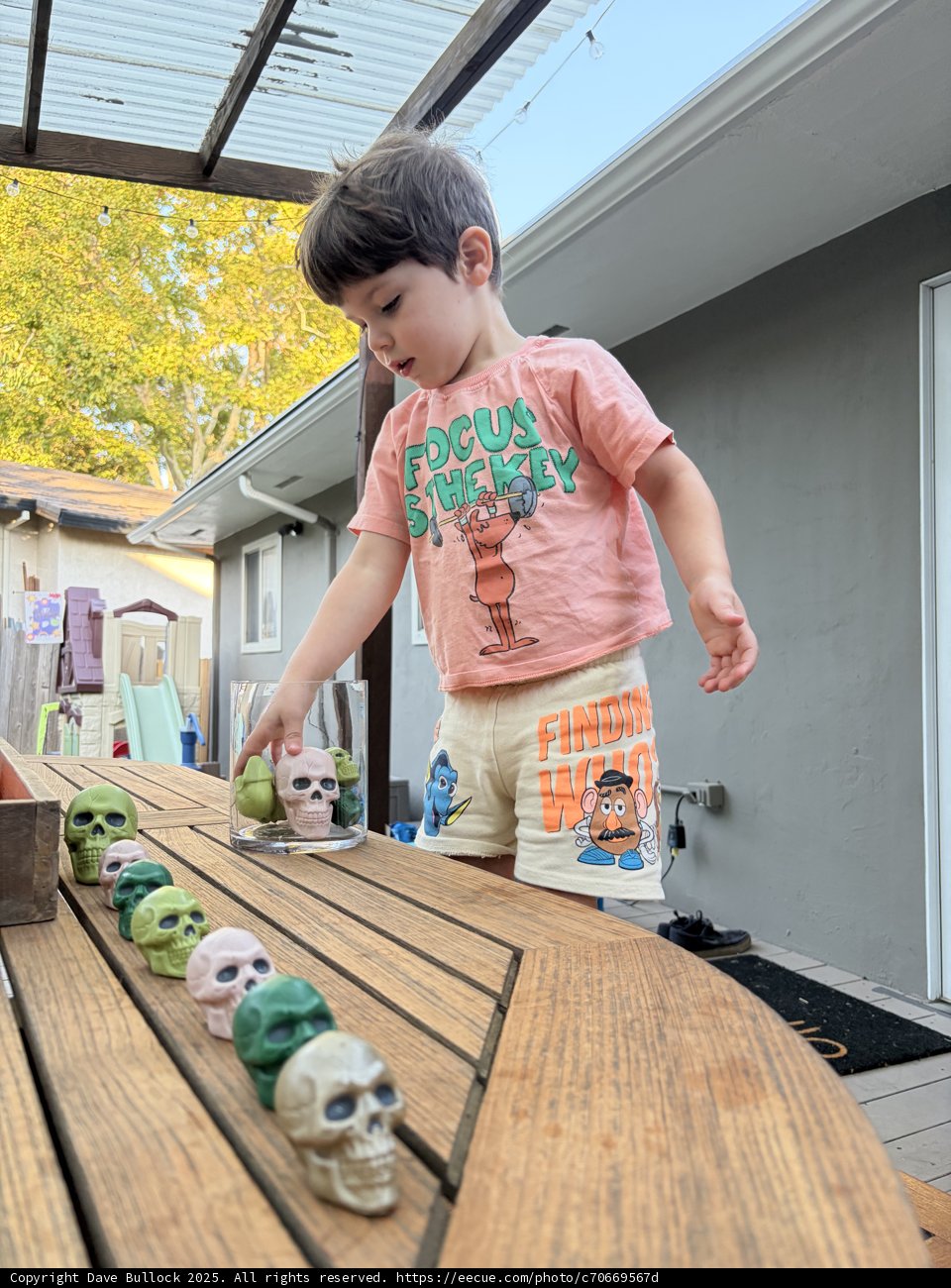 Little Architect's Imagination