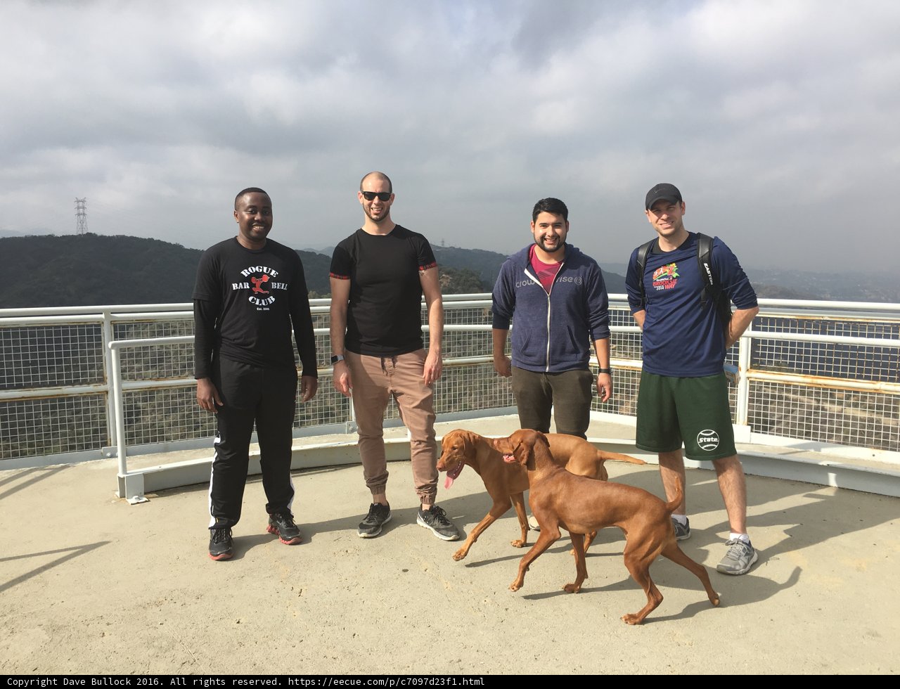 railing buddies and their furry friends