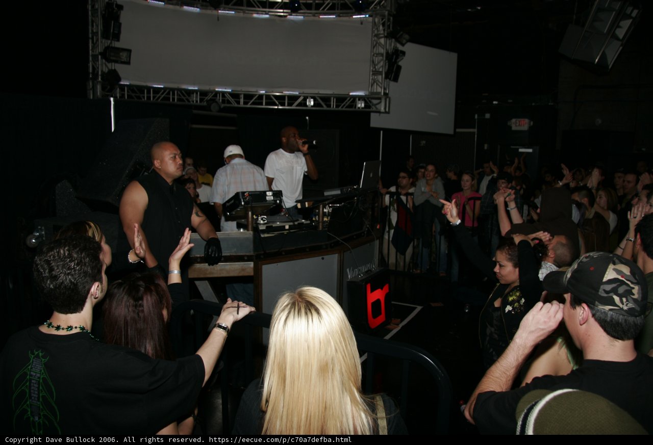 Nightclub Gathering