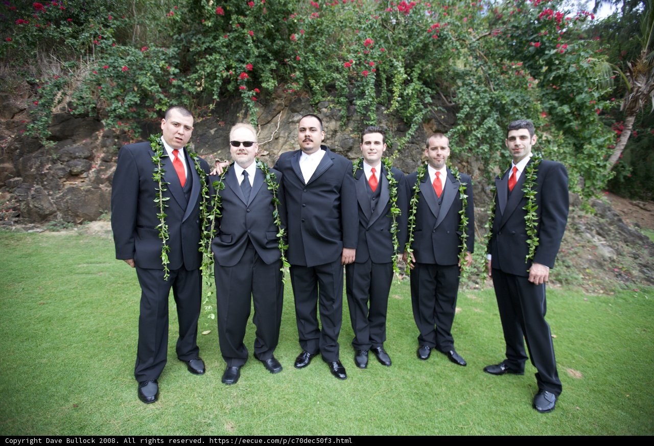 Formal Wedding Party Poses on Lush Hawaiian Landscape