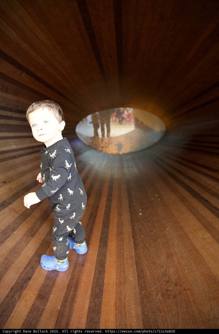 Reflections of Innocence