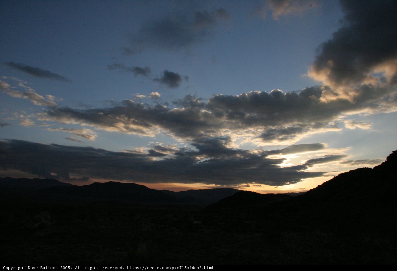Desert Magic