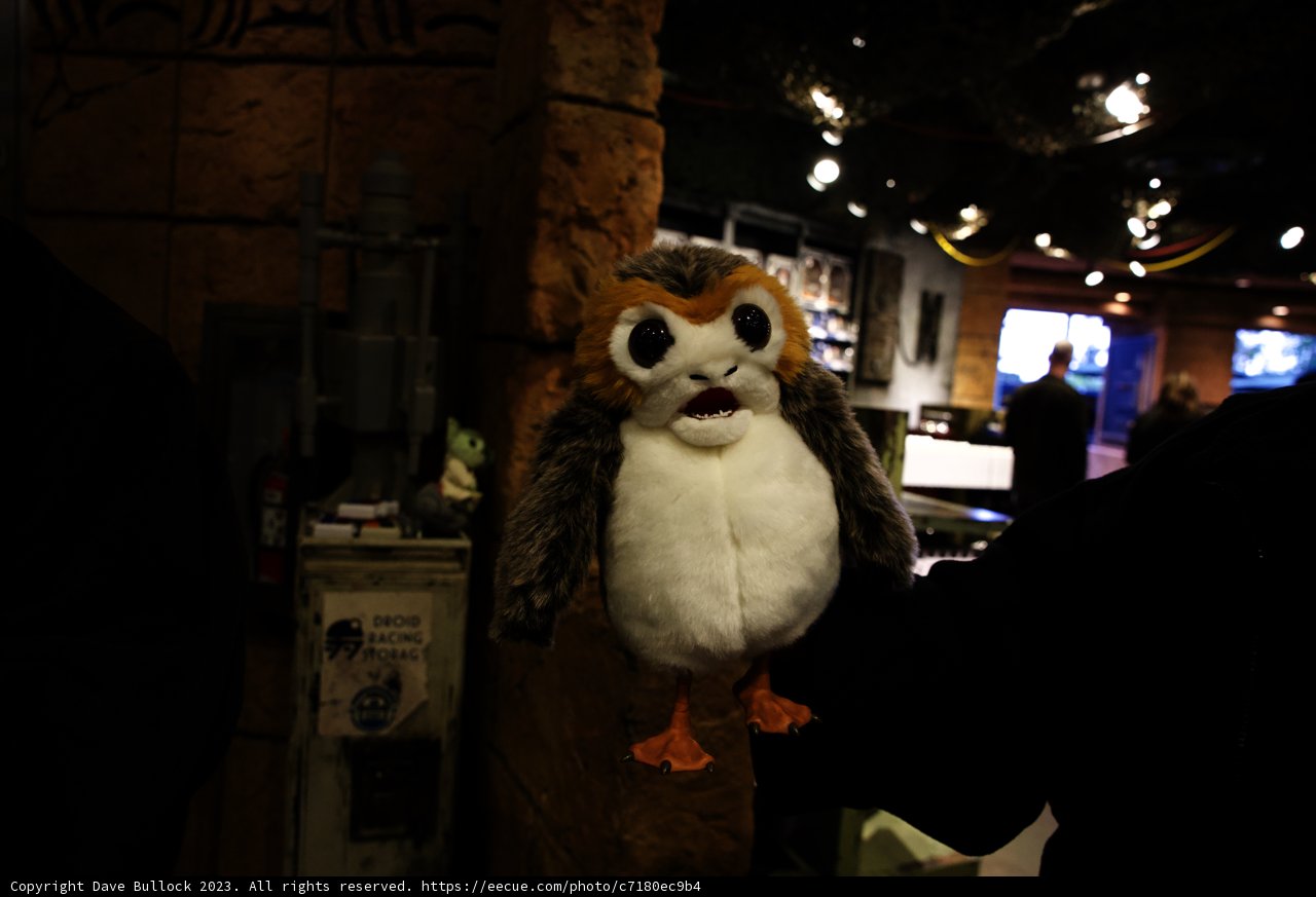 Magical Disneyland Memories with an Owl Friend