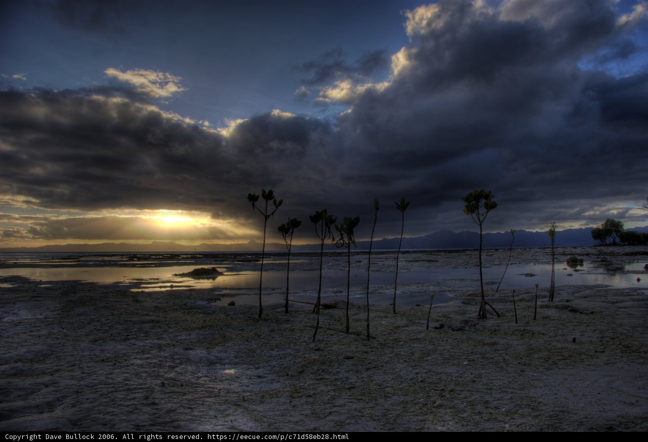 Serene Beachscape
