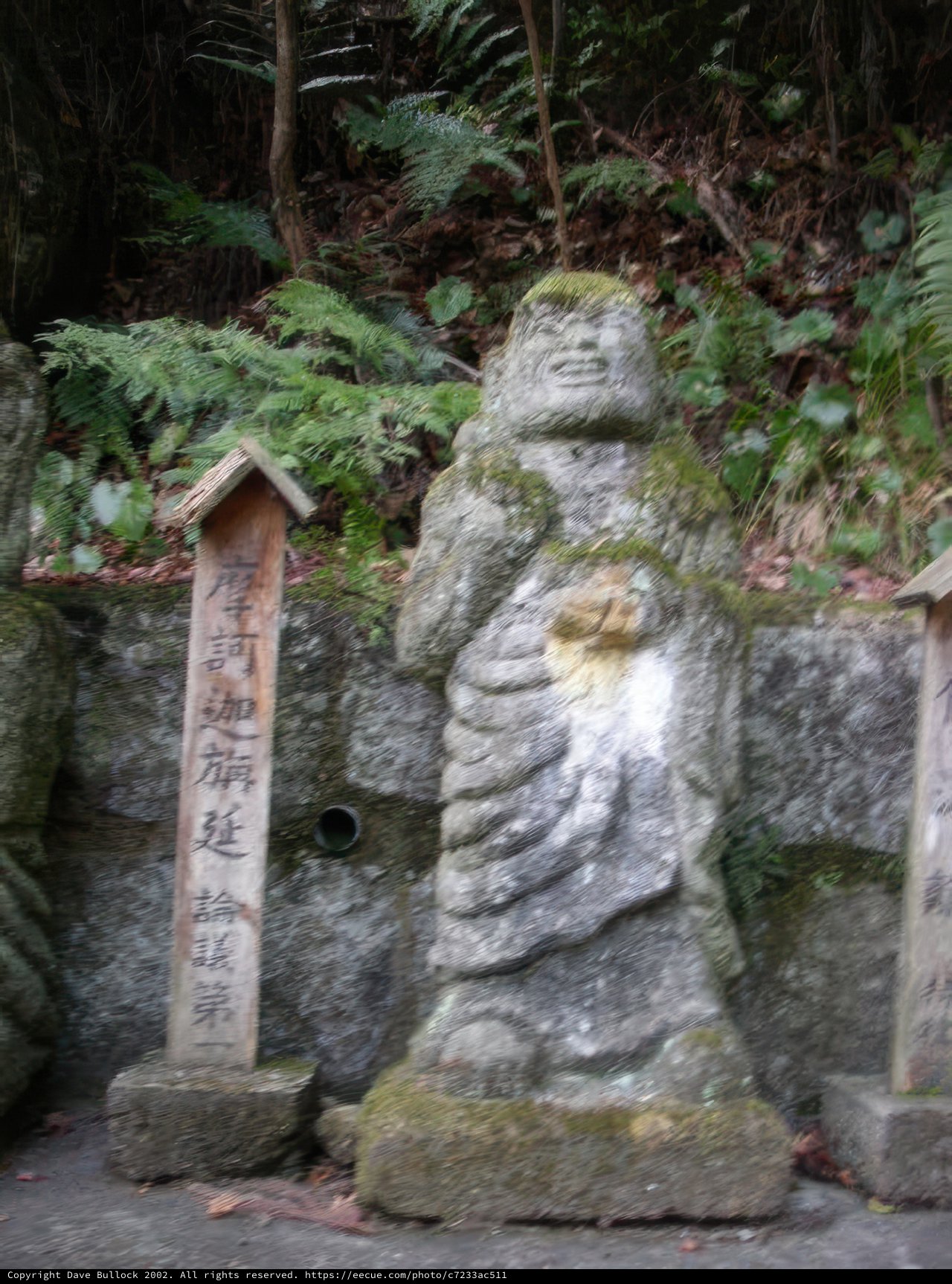 Serene Buddha Statues in the Forest