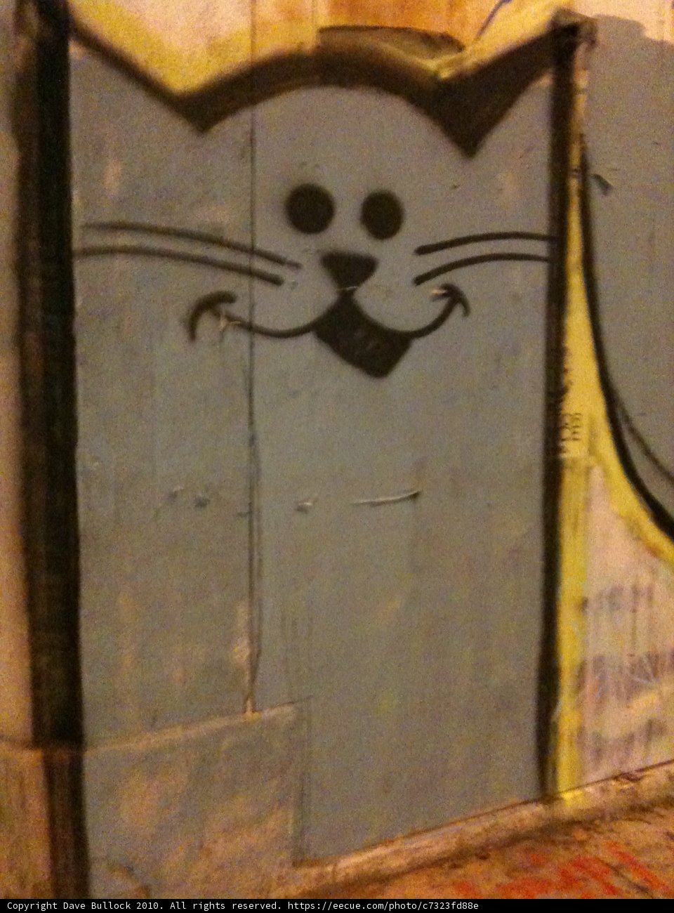 Feline Street Art