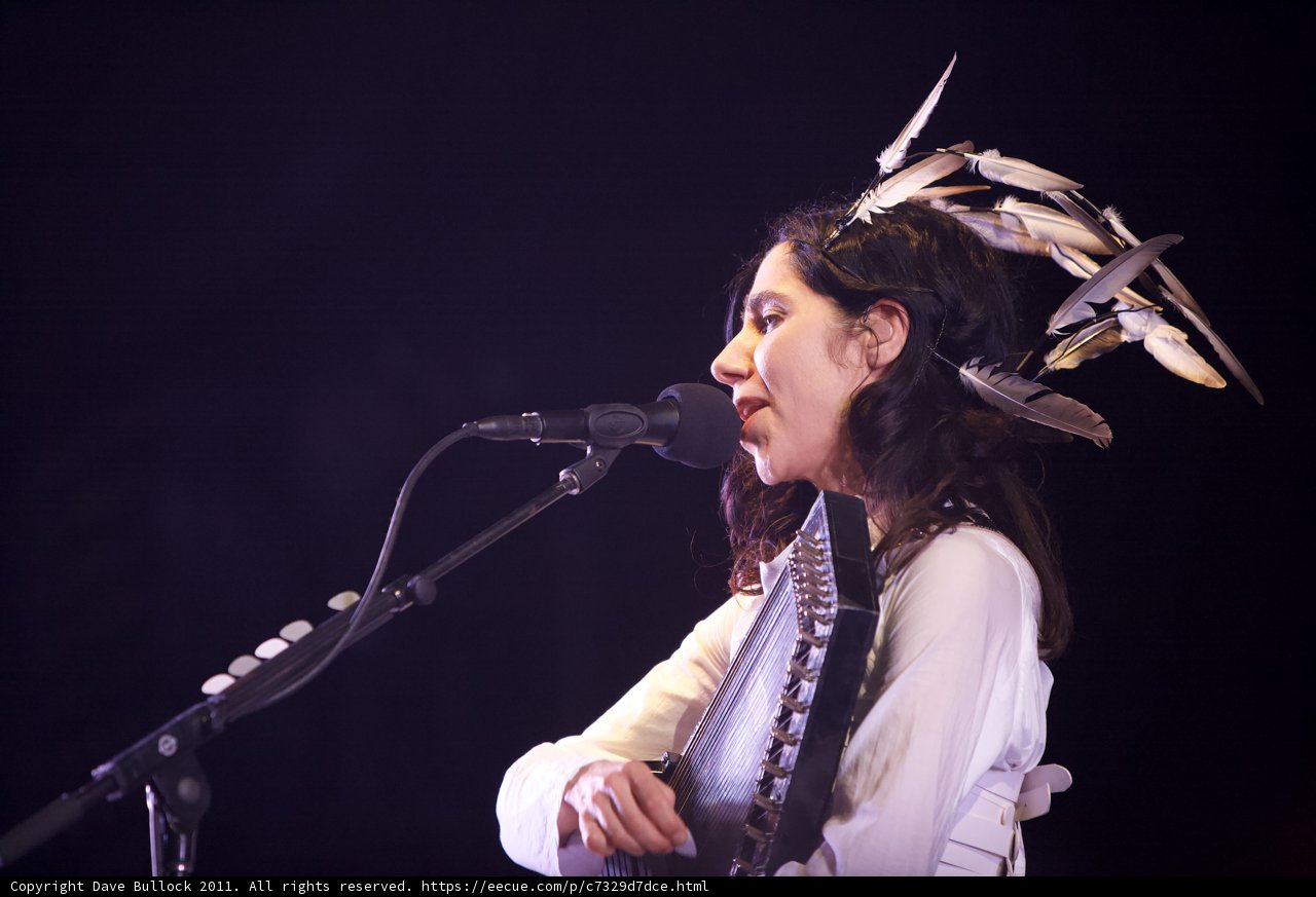 Feathered Performance