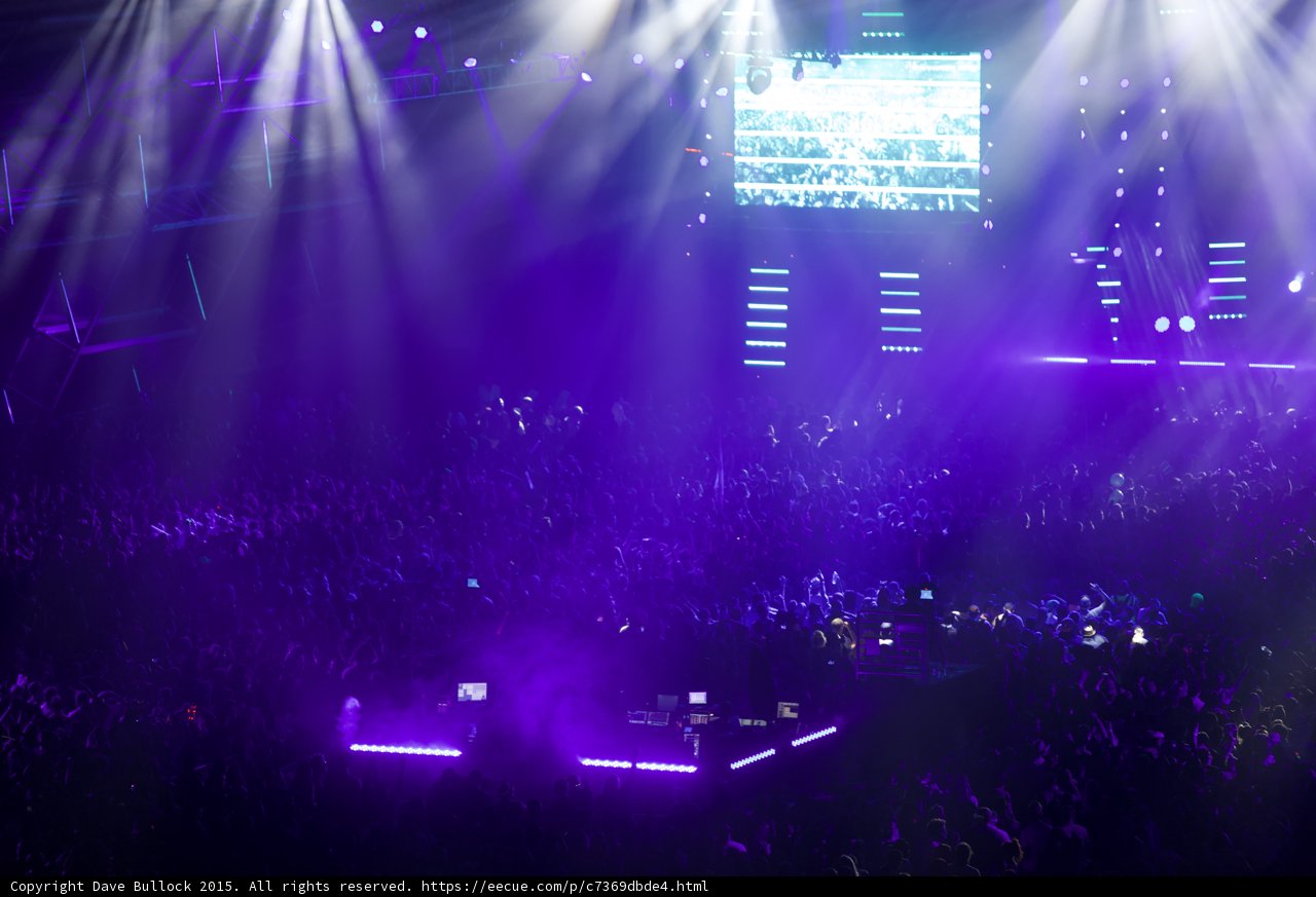 Purple Haze Performance