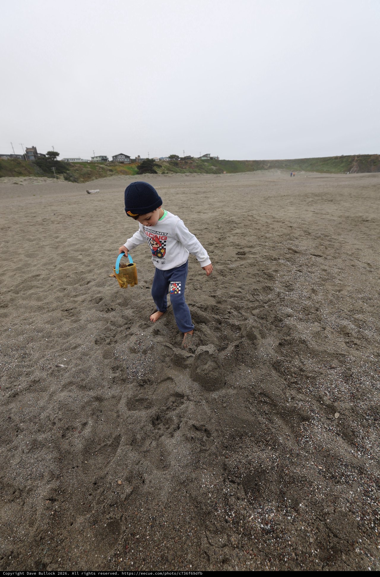 Young Explorer Carries Bucket Across Misty Beach