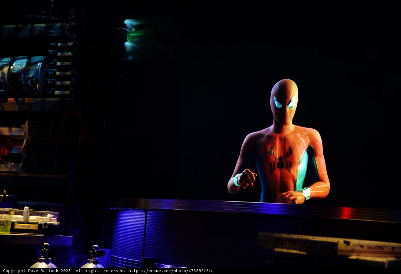 Enigmatic Performer in Disneyland