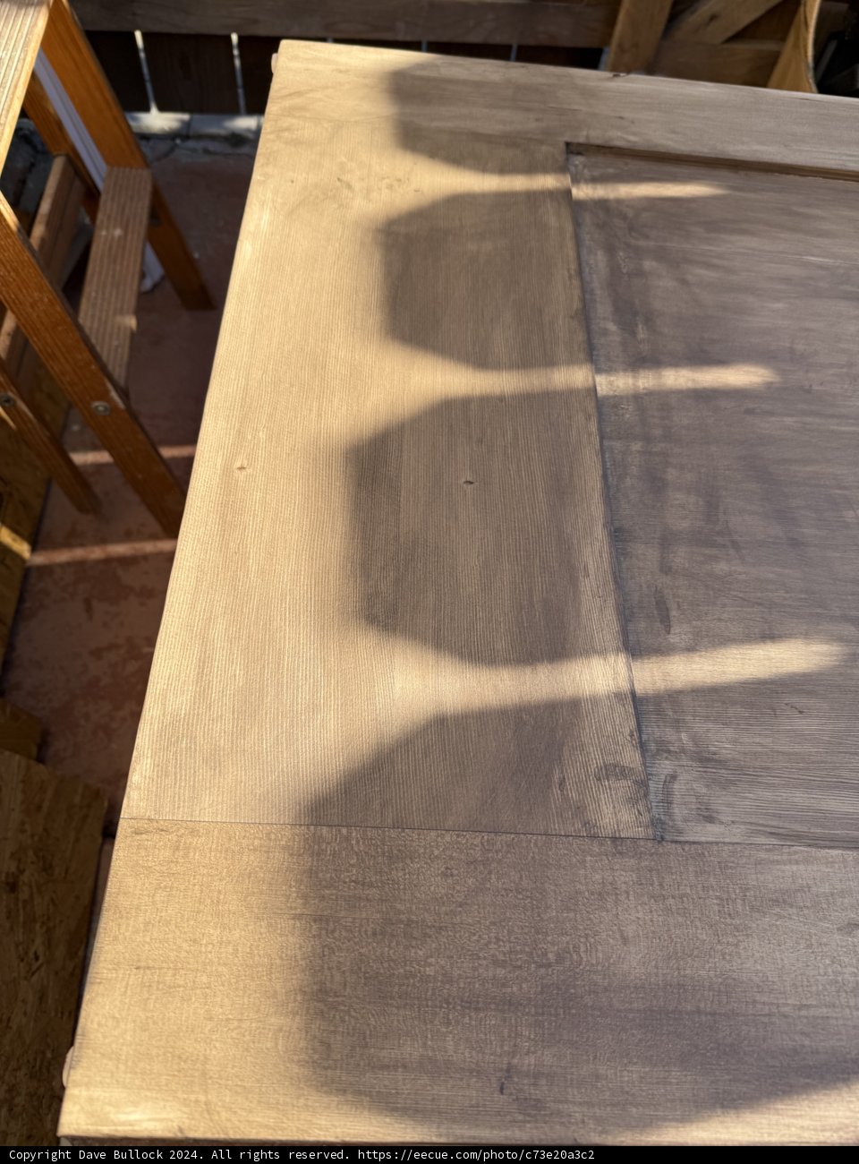 Sunlit Tabletop Artistry