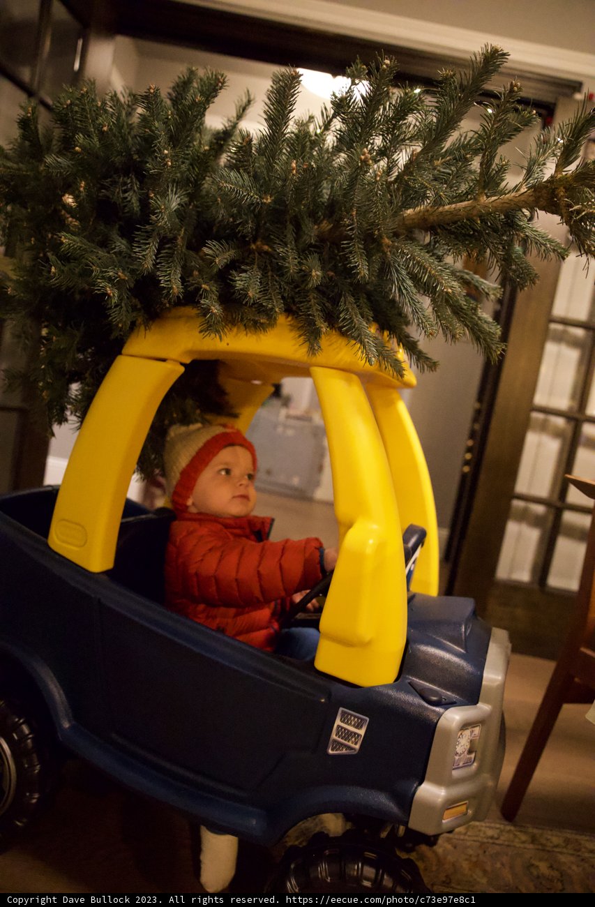 Wesley's Whimsical Christmas Adventure