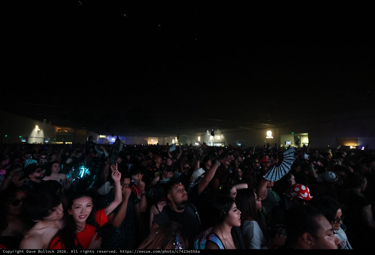 Massive Night Crowd Erupts at Wobbleland 2026 Festival