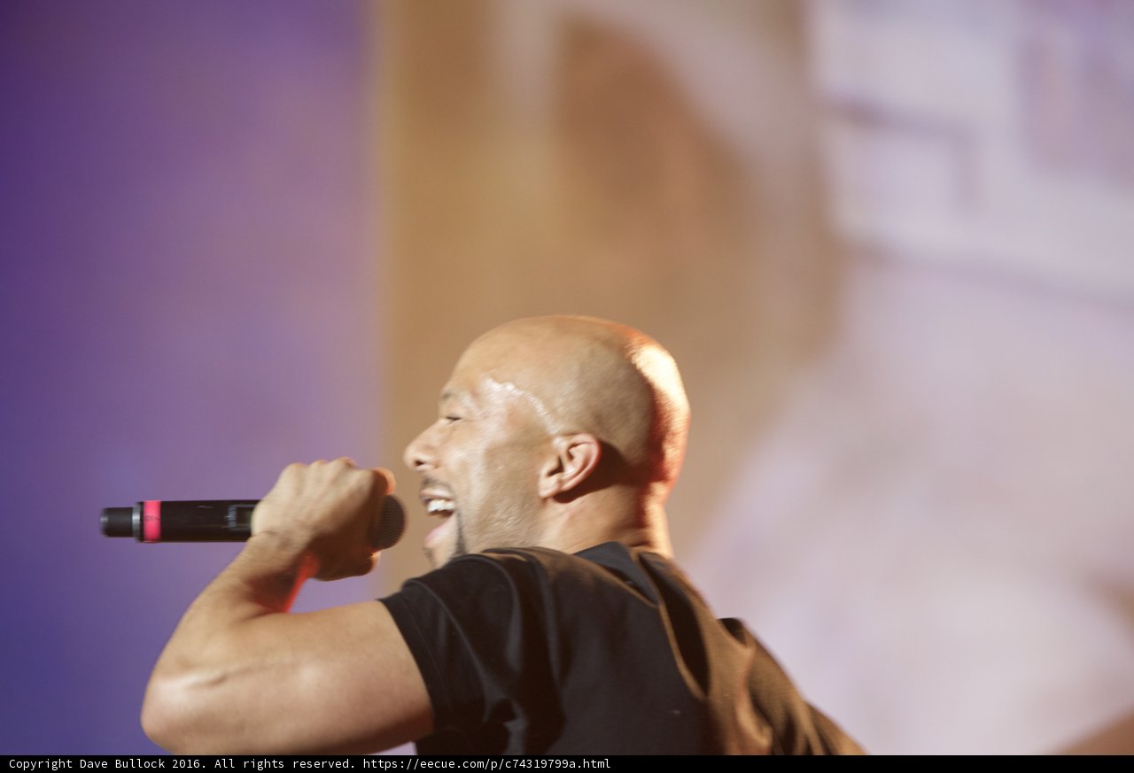 Bald Entertainer Takes Coachella Stage