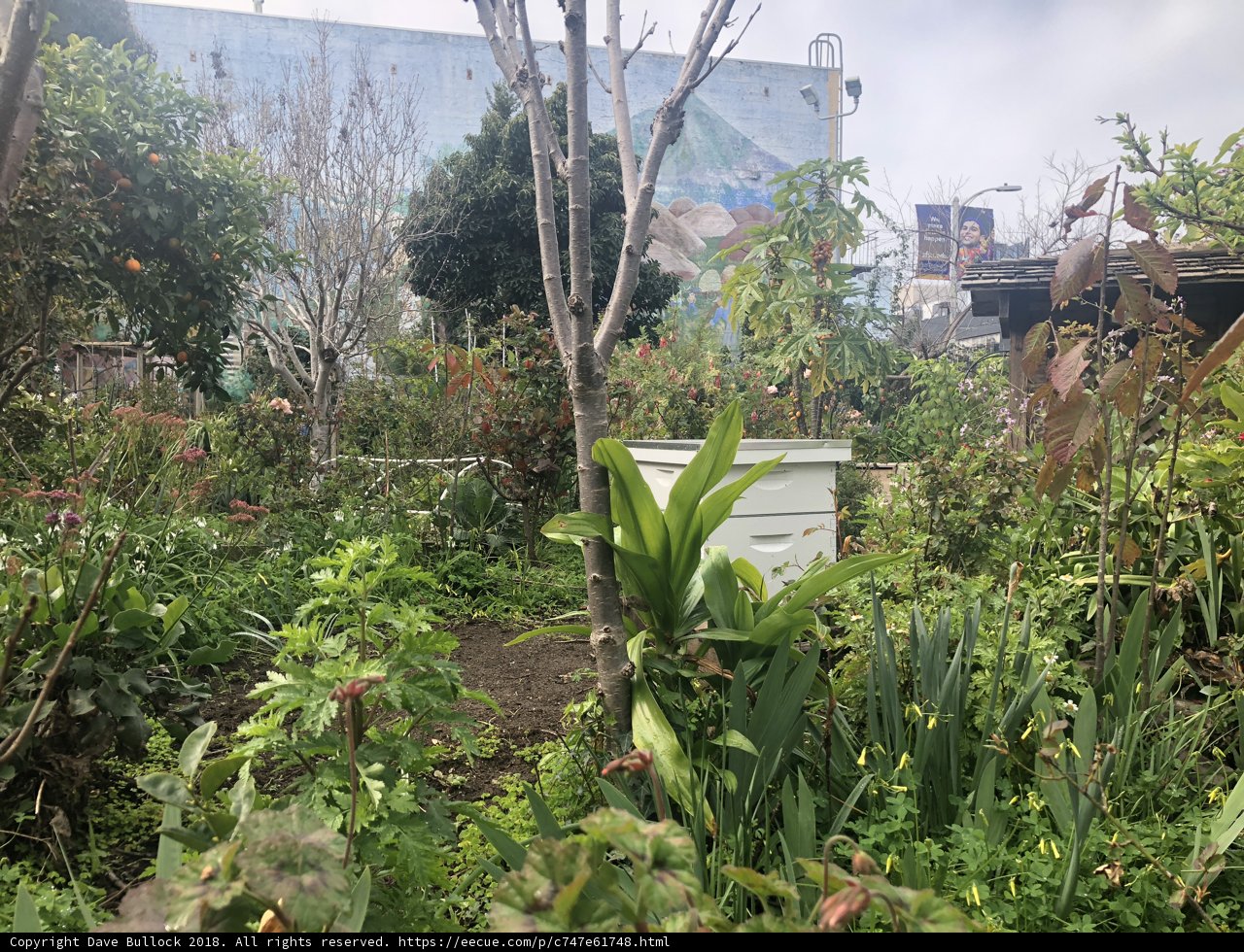 Verdant Haven