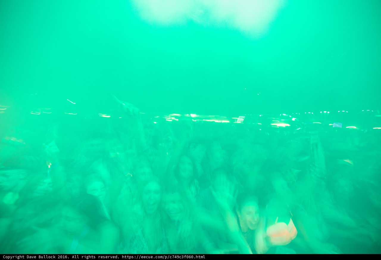 Green Lights and a Sea of Fans