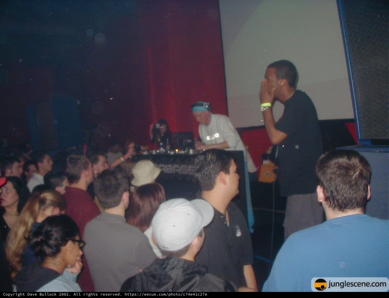 Nightclub Revelry