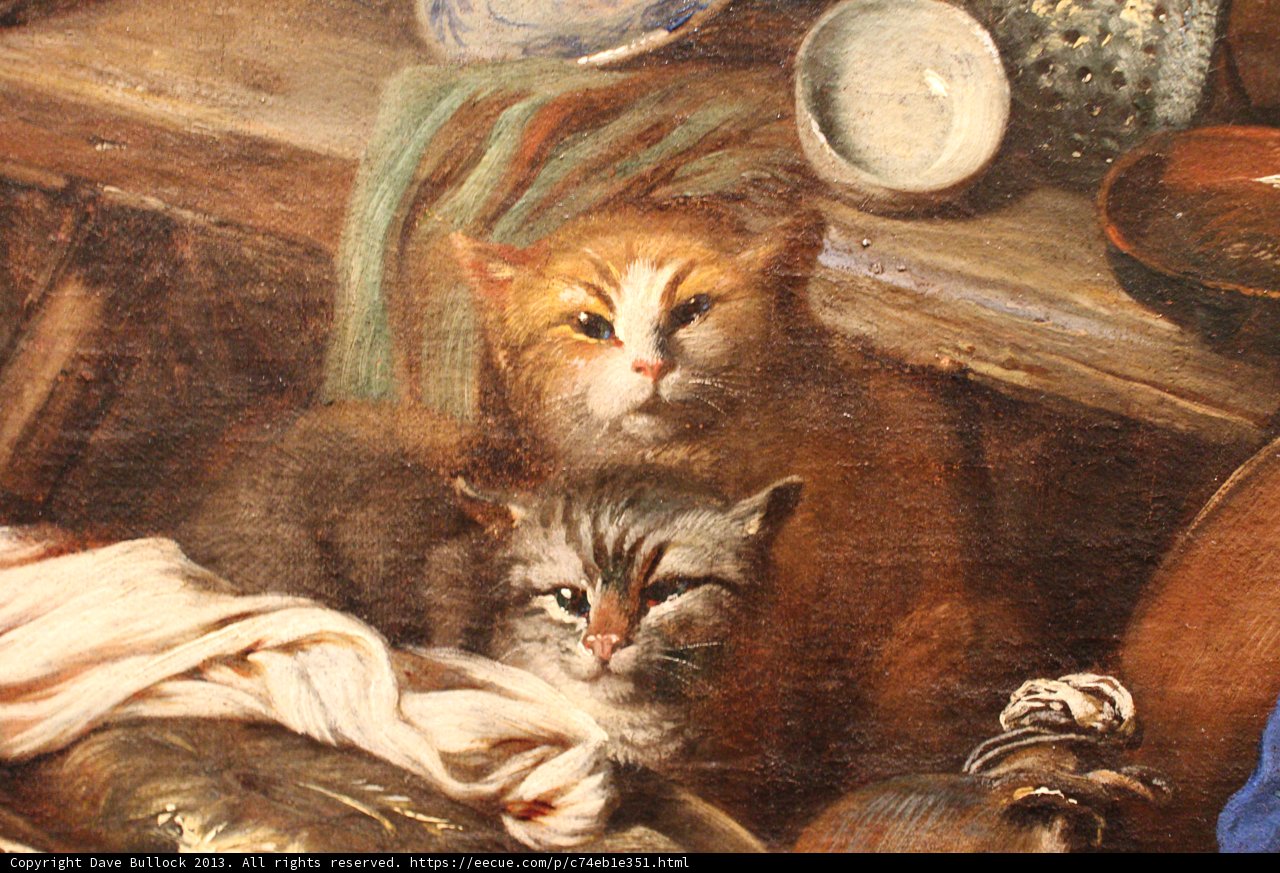 Two Feline Friends