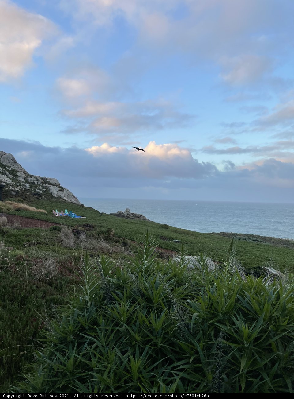 Flight Over the Coastal Wilderness