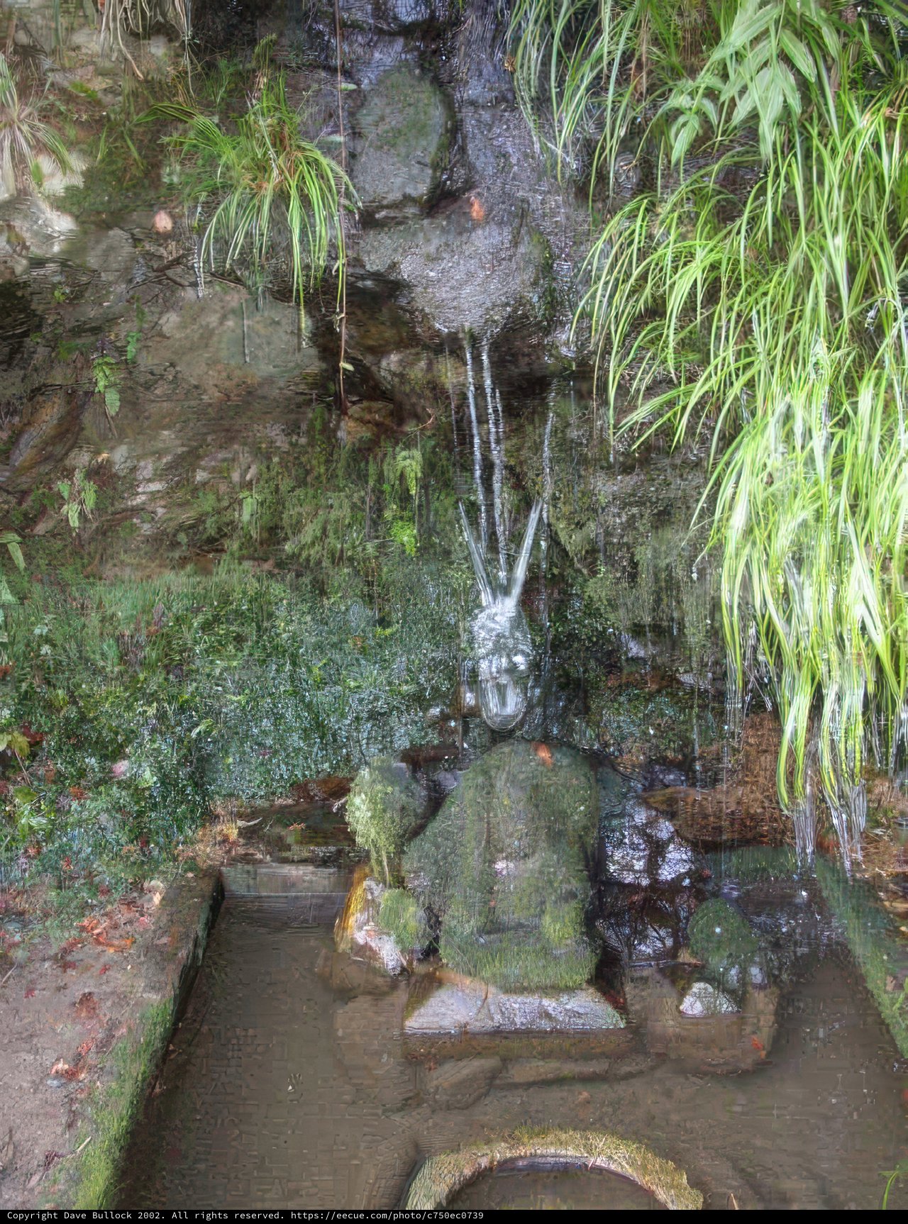 The Majestic Waterfall and Statue Oasis Caption: A serene natural haven showcasing the stunning beauty of flowing water and intricate statue in a lush green garden surrounded by moss and rocks.
