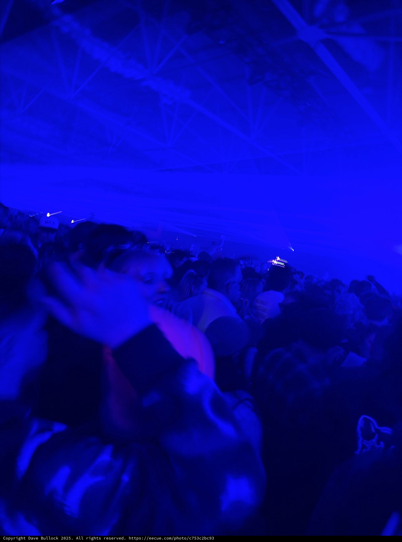 Electric Blue Night: Concert Crowd in Motion